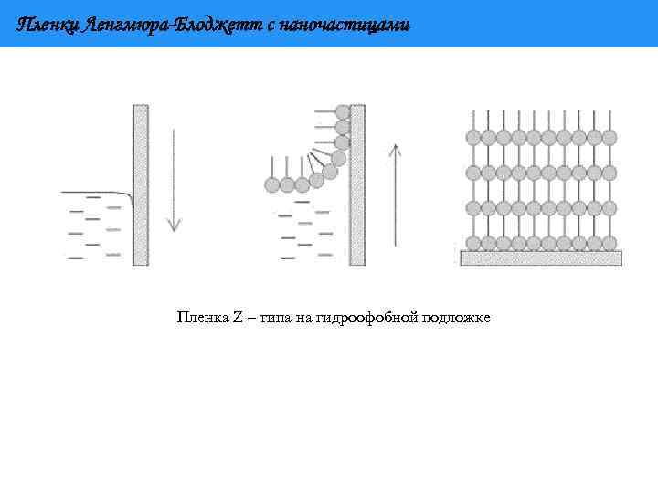 Пленки Ленгмюра-Блоджетт с наночастицами Пленка Z – типа на гидроофобной подложке 