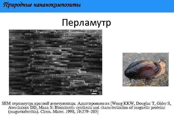 Природные нананокомпозиты Перламутр SEM перламутра красной жемчужницы. Адаптировано из [Wong KKW, Douglas T, Gider