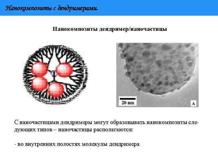 Нанокомпозиты с дендримерами. Нанокомпозиты дендример/наночастицы С наночастицами дендримеры могут образовывать нанокомпозиты сле- дующих типов