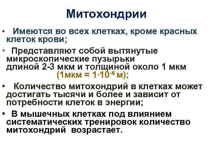 Митохондрии • Имеются во всех клетках, кроме красных клеток крови; • Представляют собой вытянутые