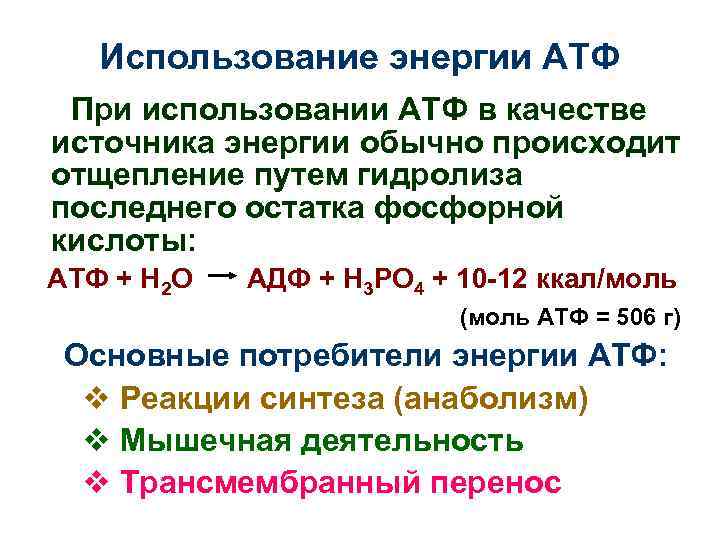 Использование энергии АТФ При использовании АТФ в качестве источника энергии обычно происходит отщепление путем