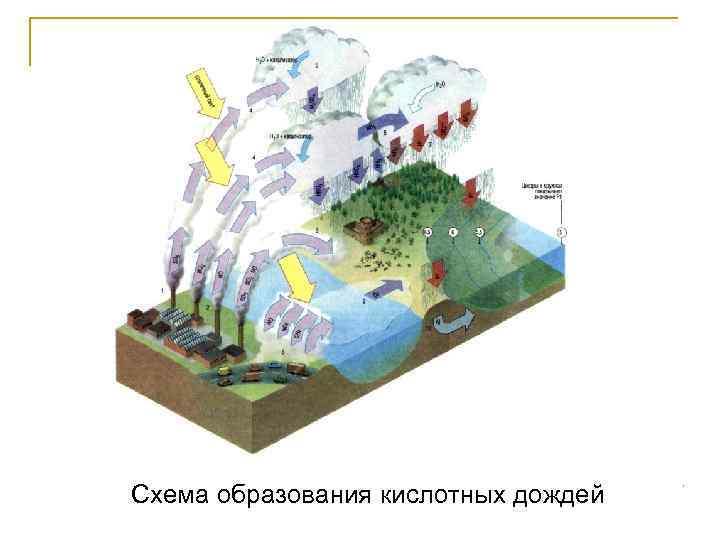 Схема образования кислотных дождей 