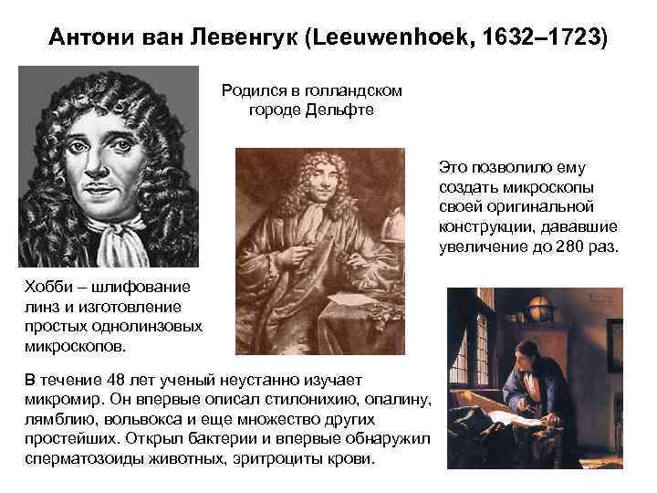 Антони ван Левенгук (Leeuwenhoek, 1632– 1723) Родился в голландском городе Дельфте Это позволило ему