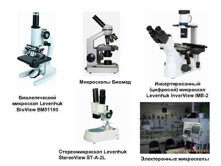 Микроскопы Биомед Биологический микроскоп Levenhuk Bio. View BM 51160 Стереомикроскоп Levenhuk Stereo. View ST-A-2