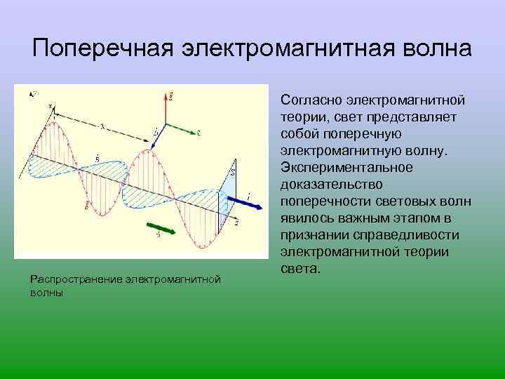 Поперечность световых волн поляризация света презентация 11 класс