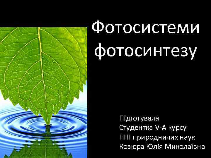 Фотосистеми фотосинтезу Підготувала Студентка V-А курсу ННІ природничих наук Козюра Юлія Миколаївна 