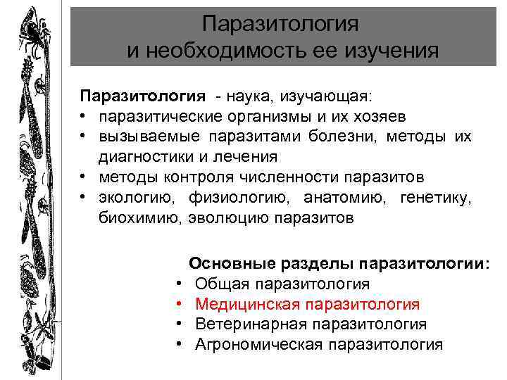 Паразитология и необходимость ее изучения Паразитология - наука, изучающая: • паразитические организмы и их