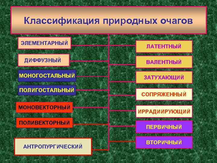 Классификация природных очагов ЭЛЕМЕНТАРНЫЙ ДИФФУЗНЫЙ МОНОГОСТАЛЬНЫЙ ПОЛИГОСТАЛЬНЫЙ МОНОВЕКТОРНЫЙ ПОЛИВЕКТОРНЫЙ АНТРОПУРГИЧЕСКИЙ ЛАТЕНТНЫЙ ВАЛЕНТНЫЙ ЗАТУХАЮЩИЙ СОПРЯЖЕННЫЙ