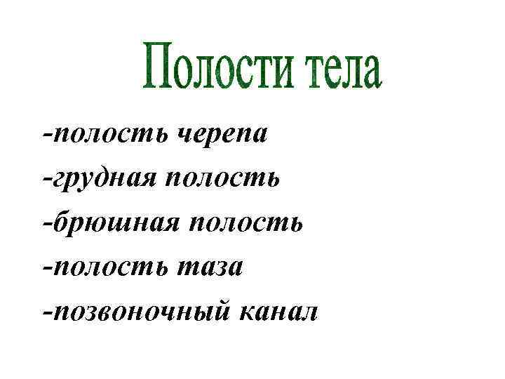 -полость черепа -грудная полость -брюшная полость -полость таза -позвоночный канал 