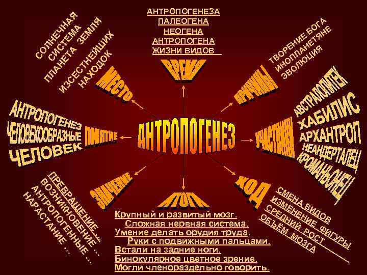 СО ПЛ С ЛН АН ИС ЕЧ ИЗ ЕТ ТЕ НА СЕ А М
