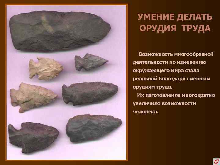 УМЕНИЕ ДЕЛАТЬ ОРУДИЯ ТРУДА Возможность многообразной деятельности по изменению окружающего мира стала реальной благодаря
