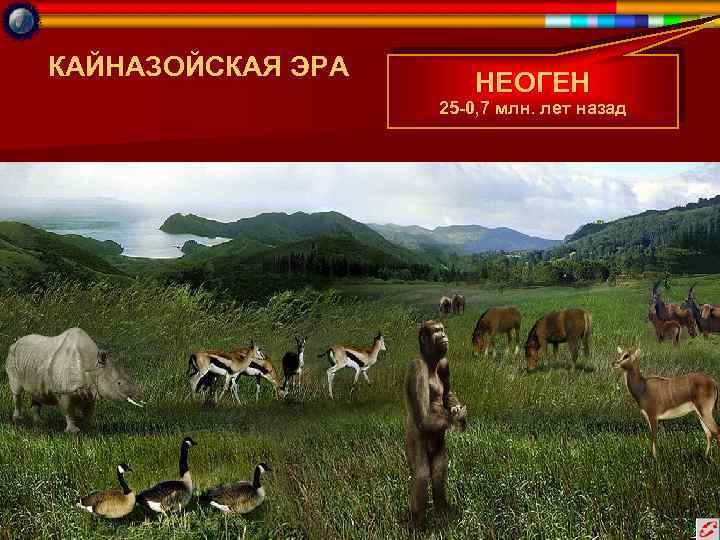 КАЙНАЗОЙСКАЯ ЭРА НЕОГЕН 25 -0, 7 млн. лет назад 