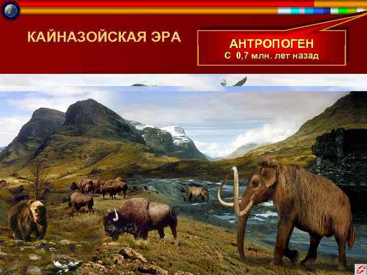 КАЙНАЗОЙСКАЯ ЭРА АНТРОПОГЕН С 0, 7 млн. лет назад 