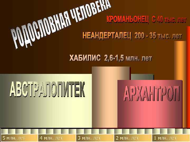 5 млн. лет 4 млн. лет 3 млн. лет 2 млн. лет 1 млн.