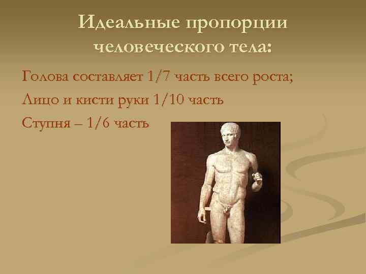 Идеальные пропорции человеческого тела: Голова составляет 1/7 часть всего роста; Лицо и кисти руки