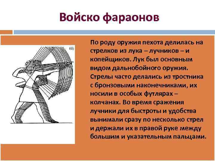 Войско фараонов По роду оружия пехота делилась на стрелков из лука – лучников –
