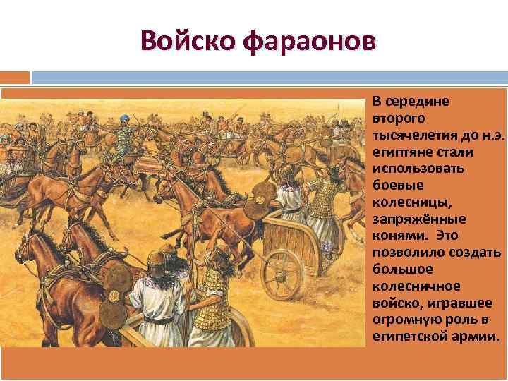 Войско фараонов В середине второго тысячелетия до н. э. египтяне стали использовать боевые колесницы,