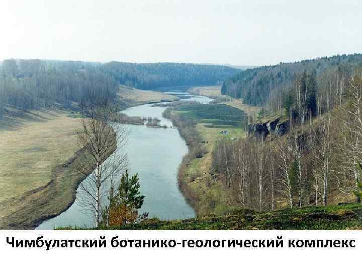 Чимбулатский ботанико-геологический комплекс 