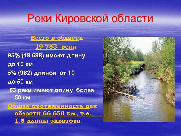 Реки Кировской области Всего в области 19 753 реки 95% (18 688) имеют длину
