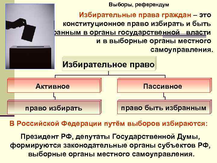 Выборы, референдум Избирательные права граждан – это конституционное право избирать и быть избранным в