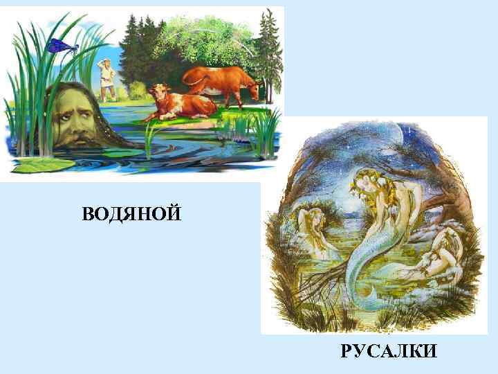 ВОДЯНОЙ РУСАЛКИ 