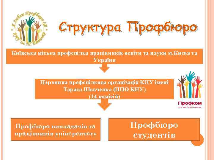 Структура Профбюро Київська міська профспілка працівників освіти та науки м. Києва та України Первинна