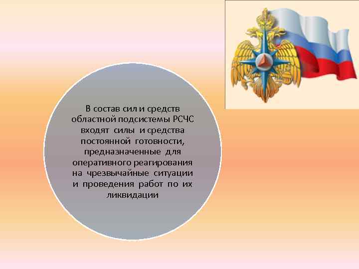 В состав сил и средств областной подсистемы РСЧС входят силы и средства постоянной готовности,