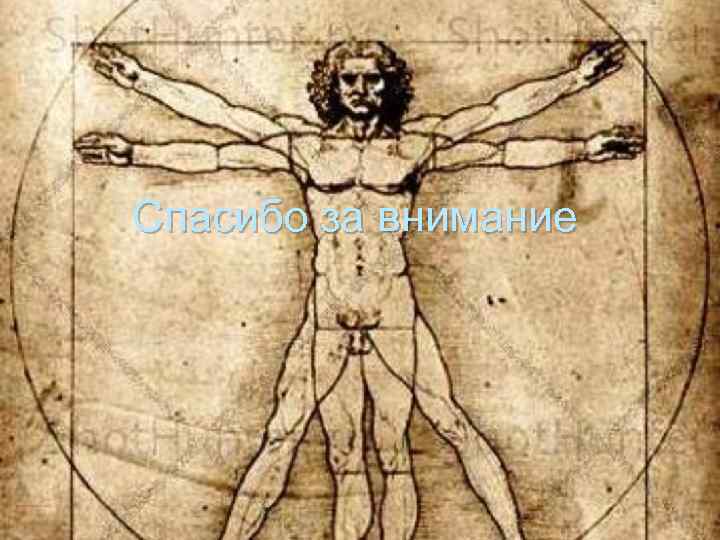 Спасибо за внимание 