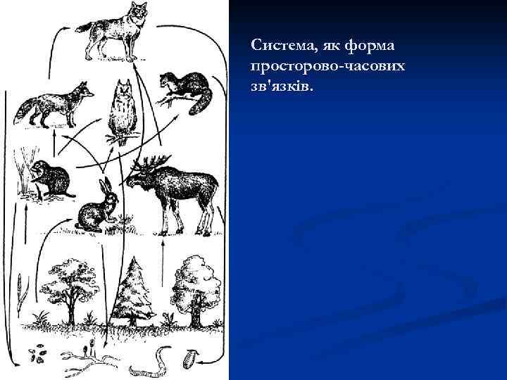 Система, як форма просторово-часових зв'язків. 