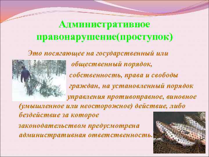 Административное правонарушение(проступок) Это посягающее на государственный или общественный порядок, собственность, права и свободы граждан,