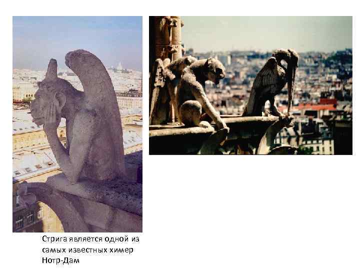 Стрига является одной из самых известных химер Нотр-Дам 