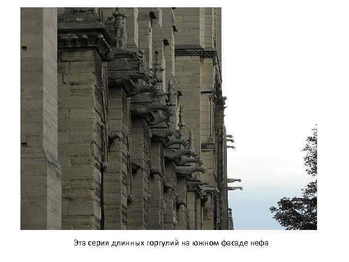 Эта серия длинных горгулий на южном фасаде нефа 