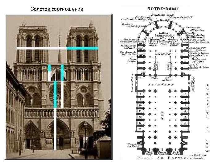План собора нотр дам де пари
