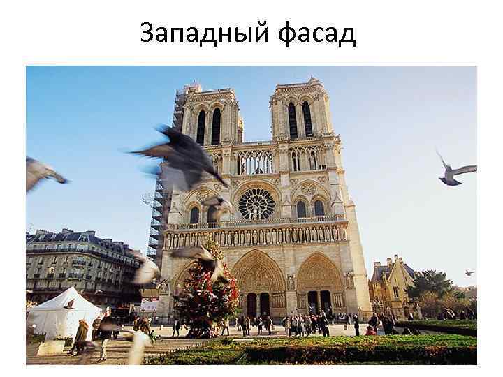 Западный фасад 