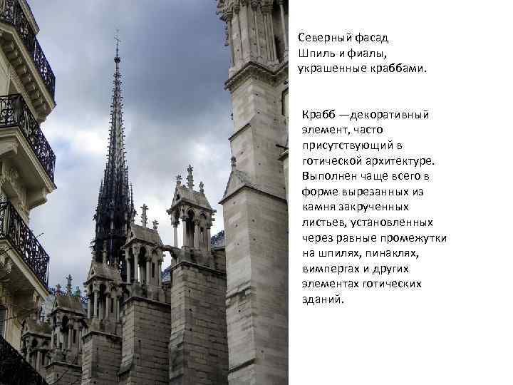 Северный фасад Шпиль и фиалы, украшенные краббами. Крабб —декоративный элемент, часто присутствующий в готической