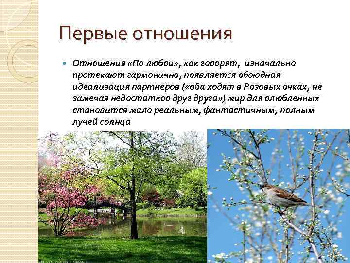 Первые отношения Отношения «По любви» , как говорят, изначально протекают гармонично, появляется обоюдная идеализация