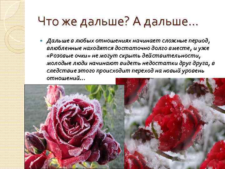 Что же дальше? А дальше… Дальше в любых отношениях начинает сложные период, влюбленные находятся