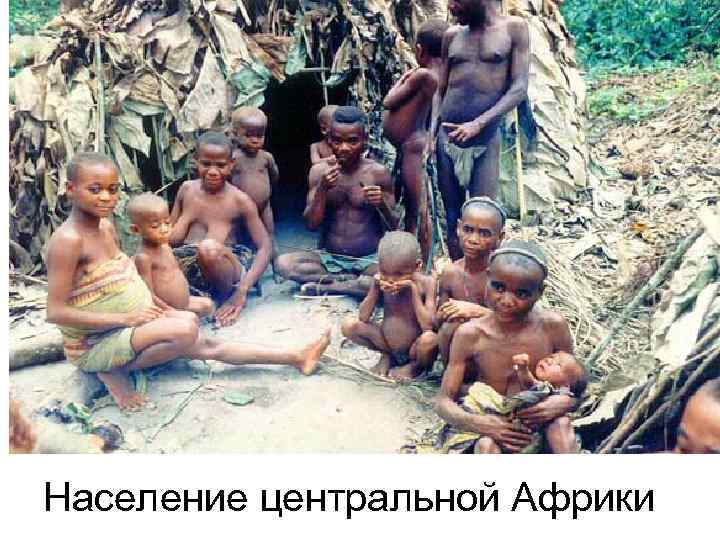 Население центральной Африки 
