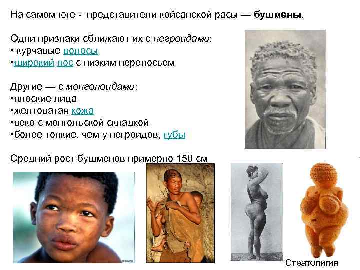 На самом юге - представители койсанской расы — бушмены. Одни признаки сближают их с