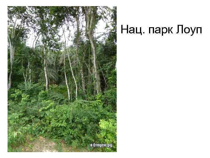 Нац. парк Лоуп 