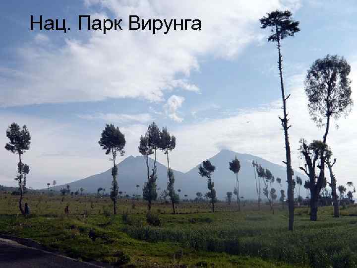 Нац. Парк Вирунга 