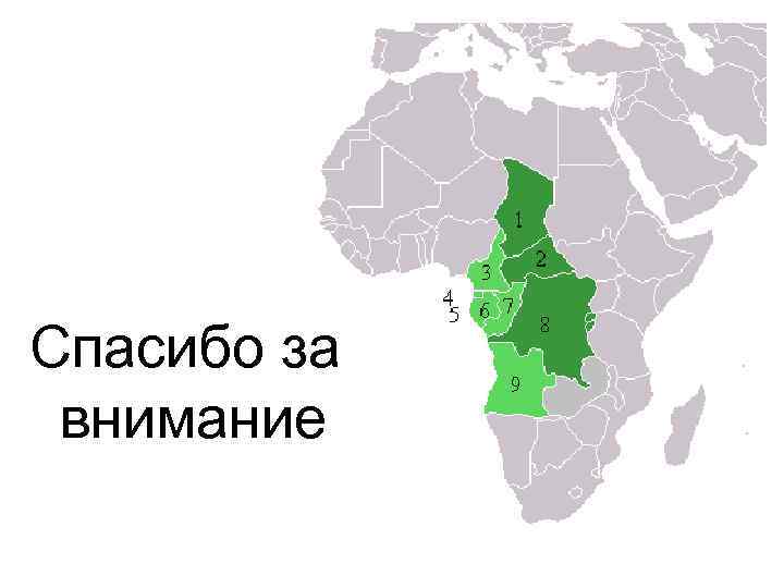 Спасибо за внимание 