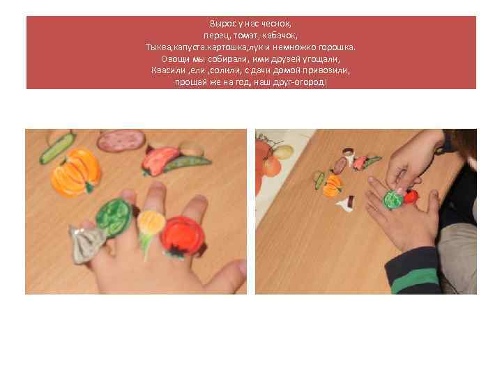 Вырос у нас чеснок, перец, томат, кабачок, Тыква, капуста. картошка, лук и немножко горошка.