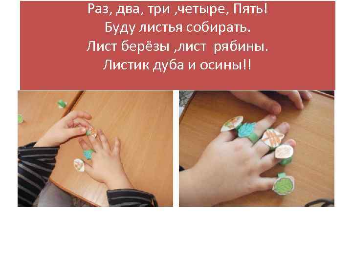 Раз, два, три , четыре, Пять! Буду листья собирать. Лист берёзы , лист рябины.