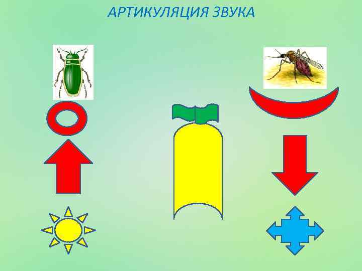 АРТИКУЛЯЦИЯ ЗВУКА 