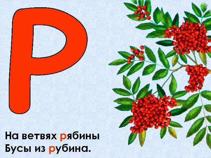 На ветвях рябины Бусы из рубина. 