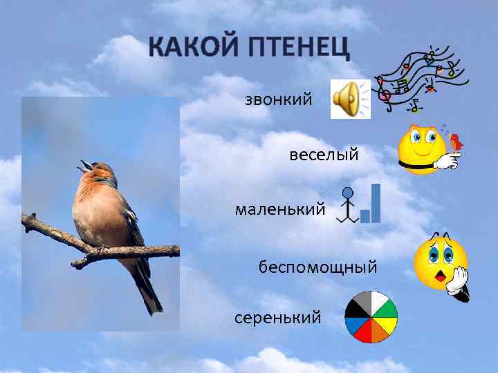 КАКОЙ ПТЕНЕЦ звонкий веселый маленький беспомощный серенький 