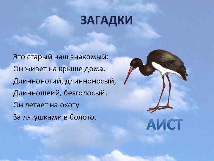 ЗАГАДКИ Это старый наш знакомый: Он живет на крыше дома. Длинноногий, длинноносый, Длинношеий, безголосый.