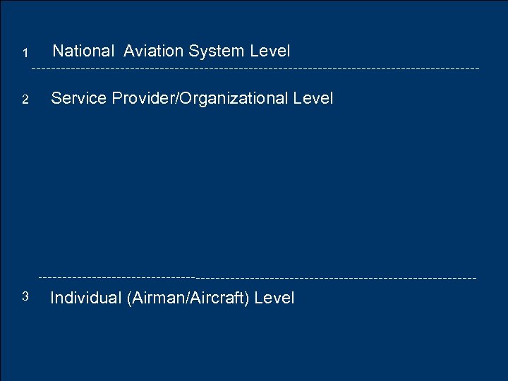 1 National Aviation System Level 2 Service Provider/Organizational Level 3 Individual (Airman/Aircraft) Level Federal