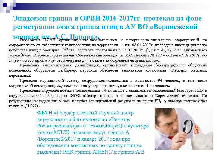 Эпидсезон гриппа и ОРВИ 2016 -2017 гг. протекал на фоне регистрации очага гриппа птиц